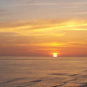 Meet your Posher, Doris